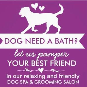 Meet your Posher, Casey